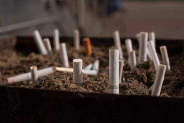 Sigara izmariti yığını manzarayı kapatır