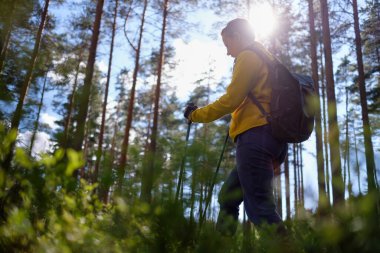 Ormanda yürüyen özel yürüyüş sopaları kullanan bir kadın..