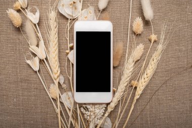 Kurumuş çiçekli siyah ekranlı telefon