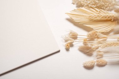 Zarfla birlikte kurumuş kır çiçekleri. Tasarımda yankı biçimi.