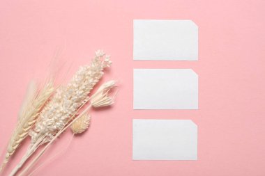 Pembe arka planda kurumuş kır çiçeği ve beyaz telif alanı.