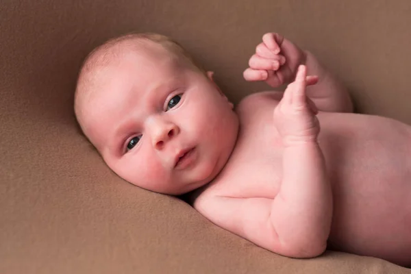 Baby Boy Posing His First Portrait Looking Camera — Stock Photo, Image