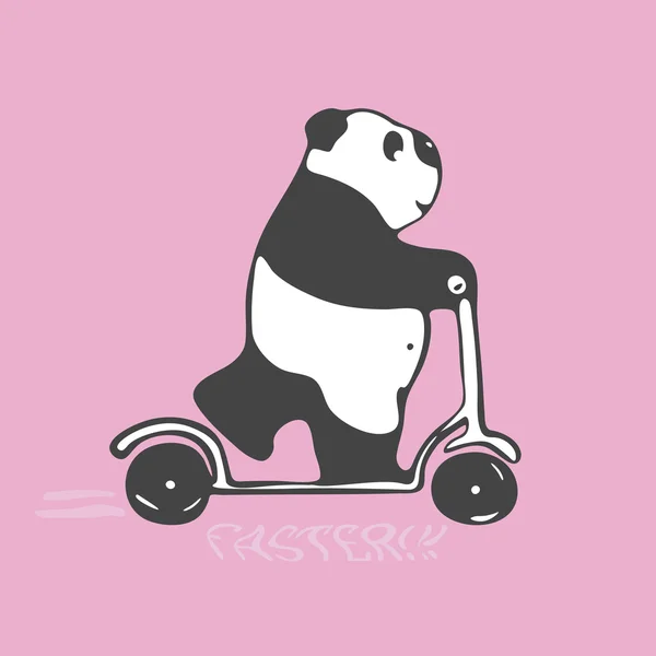Panda in a hurry rides a scooter. Pink background