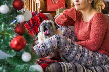 Komik köpek ve kadın sahibi Noel arifesinde evde, kanepede birlikte eğleniyorlar. 