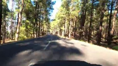 Dağ yolunda gündüz araba sürmek, seyahat kavramı.