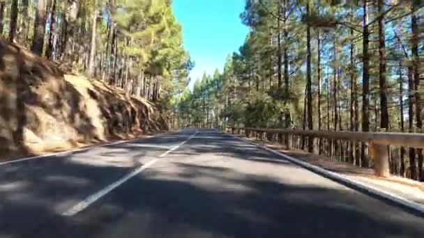 昼間の山道を走る車旅行のコンセプト — ストック動画