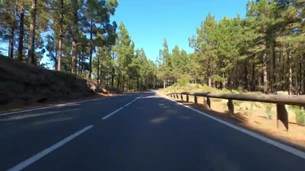 Bil Körning Med Bergsväg Dagtid Resor Koncept — Stockvideo