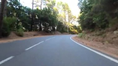 Orman yolunda gündüz araba sürmek, seyahat kavramı.