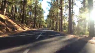 Gün batımında orman yolunda araba sürmek, seyahat kavramı