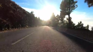 Gün batımında orman yolunda araba sürmek, seyahat kavramı