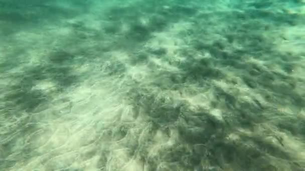 Dalgalar Güneş Işınlarıyla Güzel Deniz Suyu Yüzeyi — Stok video