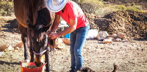Cowboy Lifestyle Man Work Horses Animals Outdoor — Stock Photo, Image