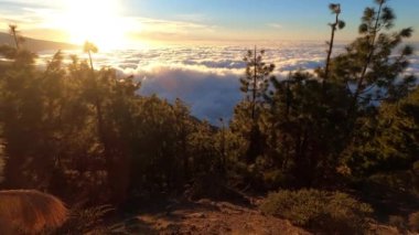  Sabahları dağların güzel manzarası ve yürüyüşçü bacakları