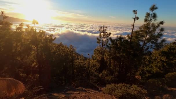Prachtig Uitzicht Bergen Ochtend Wandelaars Benen — Stockvideo
