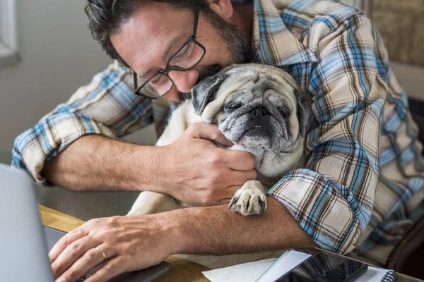 Orang Dewasa Bermain Dengan Sahabatnya Anjing Tua Pug Kantor Rumah — Stok Foto