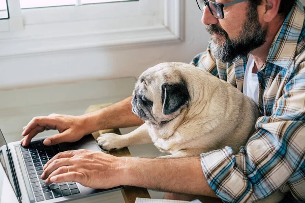 Портрет Чоловіка Собаки Працює Разом Вдома Ноутбуком — стокове фото