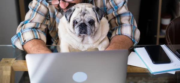 Смішна Пара Чоловік Собака Працюють Разом Вдома Ноутбуком Онлайн Робочого — стокове фото