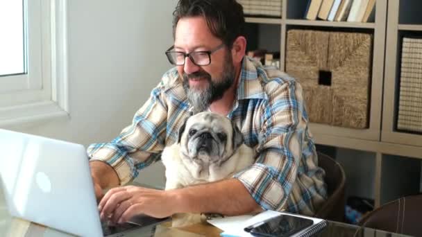 Бородатый Взрослый Мужчина Работает Дома Офисной Комнате Своей Подругой Собакой — стоковое видео