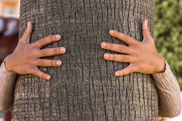 Hands hugging and protecting palm tree - nature environment safe protection concept - trunk trees close up and human embracing