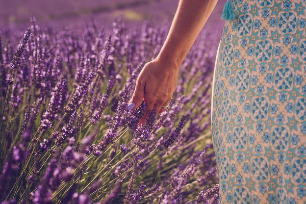 Închideți Mâna Femeii Unghii Colorate Atingând Simțind Floarea Lavandă Câmp — Fotografie, imagine de stoc