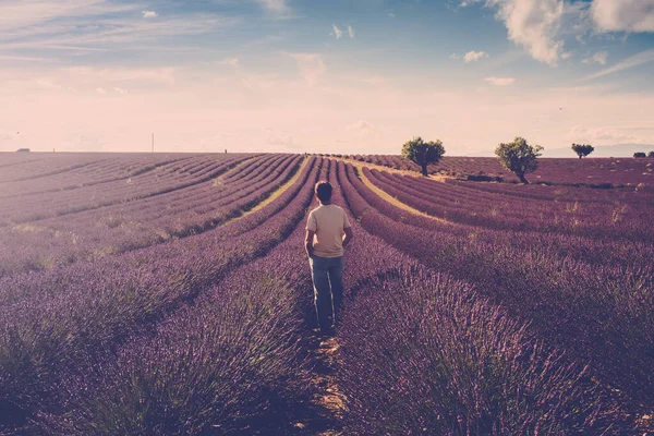 Homem Olhar Campo Lavanda Torno Dele — Fotografia de Stock