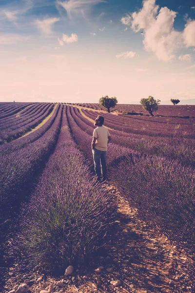 Homem Olhar Campo Lavanda Torno Dele — Fotografia de Stock