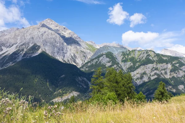 Paisaje Montaña Con Hierba Amarilla Hermosa Vista Superior Cielo Azul —  Fotos de Stock