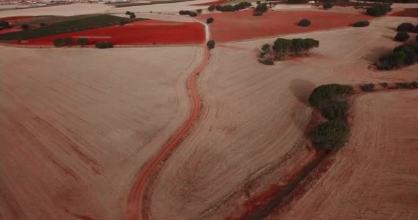 Aerial View Red White Sand Desert — Stock Video