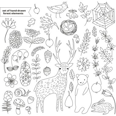 elle çizilmiş doğrusal orman öğeleri ayarla 