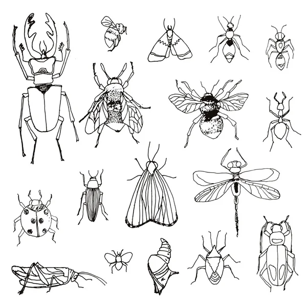 Conjunto de insectos, boceto — Vector de stock