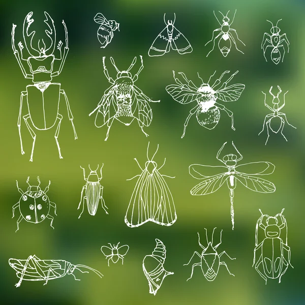 Ορίστε τα έντομα σε μια θολή φόντο — Διανυσματικό Αρχείο