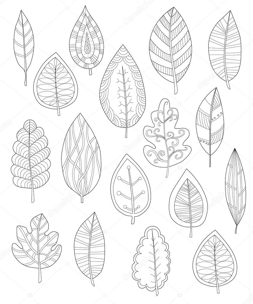 Collection of leaves for coloring pages, Set of different leaves for coloring pages
