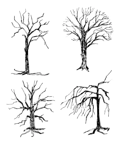 Nastavit ručně tažené siluety stromů — Stockový vektor