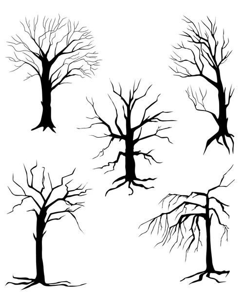 Samling av silhuetter av träden, isolerade på vit bakgrund — Stock vektor