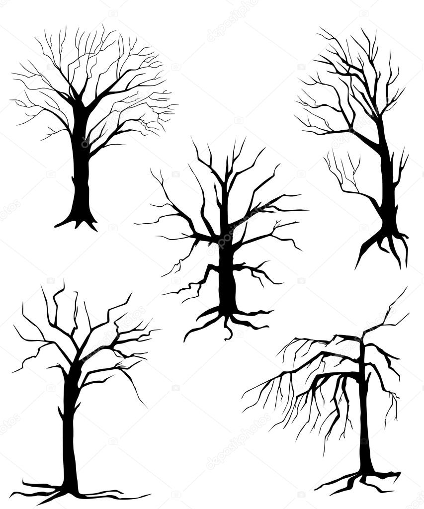 collection of silhouettes of trees, isolated on white background