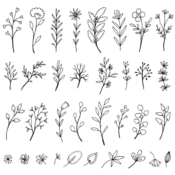 Set Elementi Botanici Disegnati Mano Set Fiori Rami Stile Doodle — Vettoriale Stock