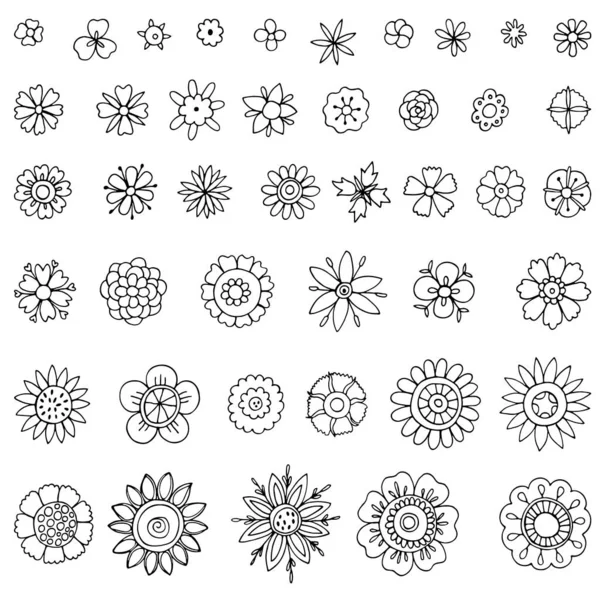 Set Doodle Floral Elementos Florales Hechos Mano Conjunto Simples Garabatos — Vector de stock