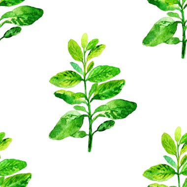 Keklikotlu sulu boya deseni