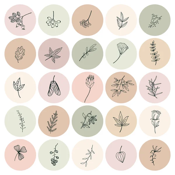 Floral Insta Destacan Cubiertas Iconos Instagram Abstractos Modernos Iconos Neutrales — Vector de stock