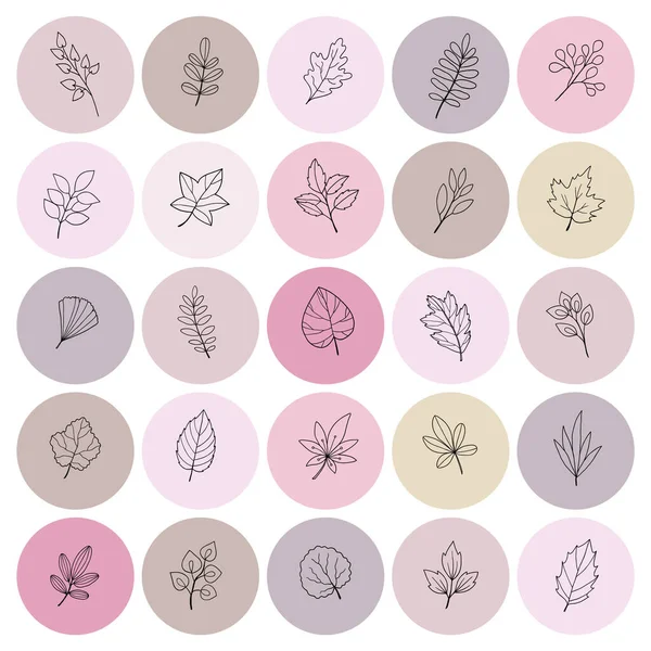 Рука Намальовані Піктограми Історія Обкладинки Відбитки Ніжних Квітів Будуть Ідеальними — стоковий вектор