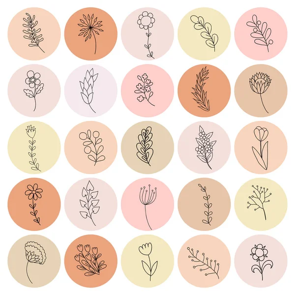 Floral insta highlight covers neutral social Vector Image