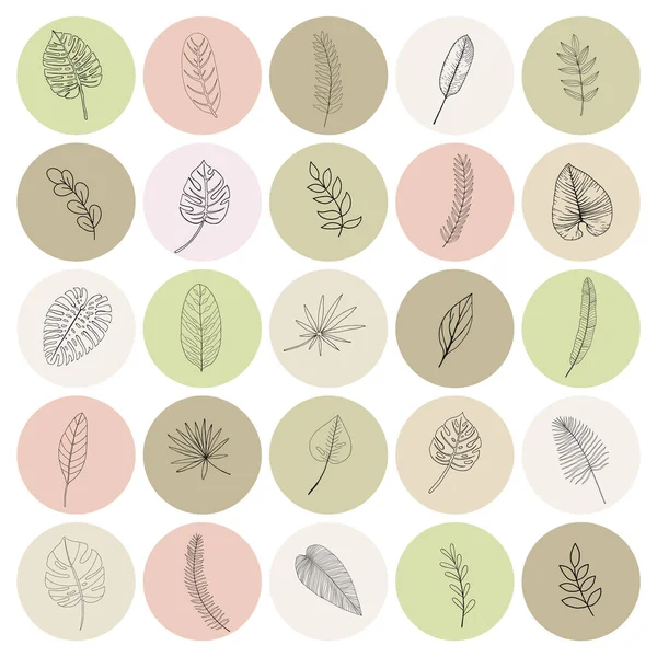 Ícones Botânicos Para Sua História Mídia Social Destaques Com Doodles —  Vetores de Stock