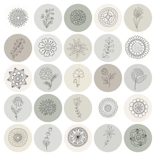 Ícones Botânicos Para Sua História Mídia Social Destaques Com Doodles —  Vetores de Stock