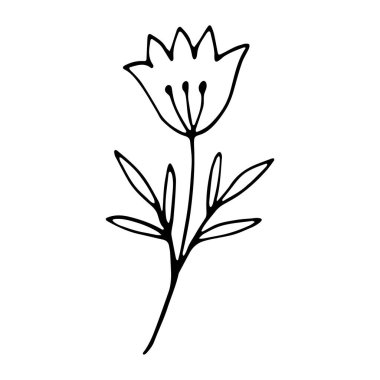 Çiçek eskizi. Sosyal medya hikayesi çiçek elementi