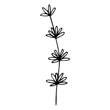 Çiçek eskizi. Sosyal medya hikayesi çiçek elementi. Sevimli, tek elle çizilmiş bitkisel element.