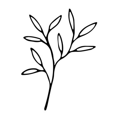 Sosyal medya hikayesi için çiçek el karalama ikonu çizdi. Mürekkep çizilmiş dal. Dallı vektör çiçek çizimi. Sevimli, tek elle çizilmiş bitkisel element.