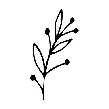 Sosyal medya hikayesi elle çizilmiş vektör çiçek elementi. Moda soyut organik ve grafik ögesi