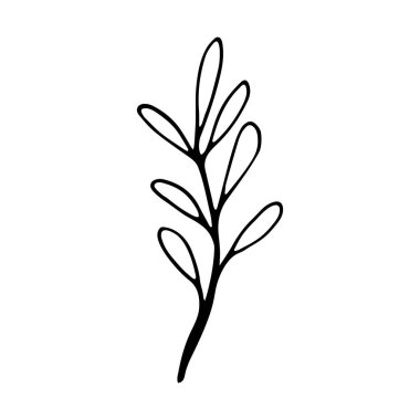 Çiçekli el sosyal medya hikayesi için karalama ikonu çizdi. El yapımı düğün bitkisi, bitki