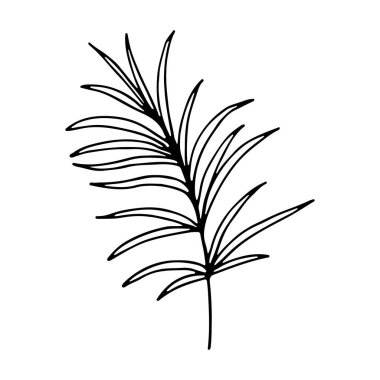 Sanat yaprakları doğal bitkileri hizada bırakır. Çiçekli el sosyal medya hikayesi için karalama ikonu çizdi. El yapımı düğün bitkisi, bitki