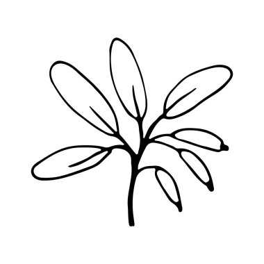 Çiçek eskizi. Sevimli, tek elle çizilmiş bitkisel element.